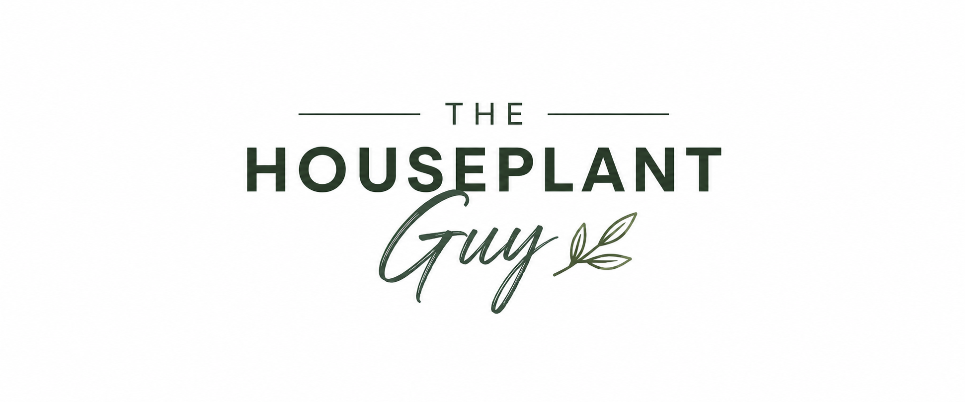 The Houseplant Guy
